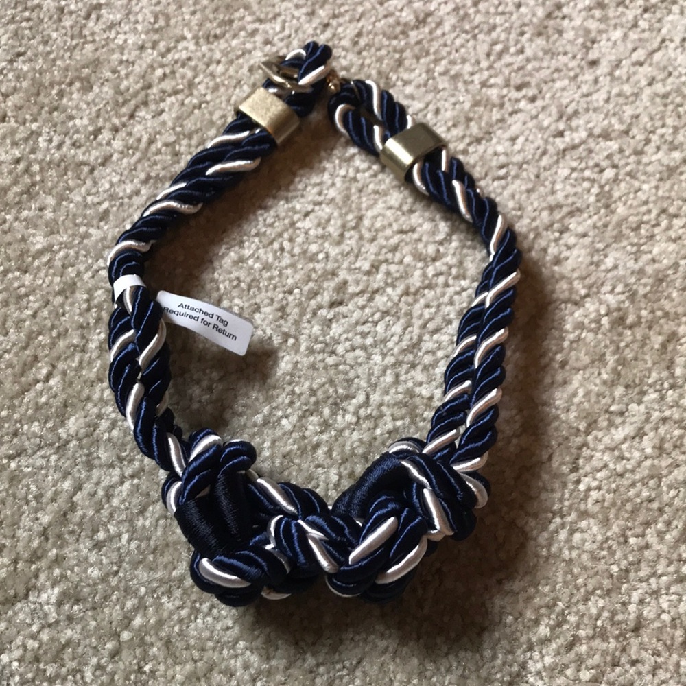 BaubleBar Navy and White Twisted Necklace
